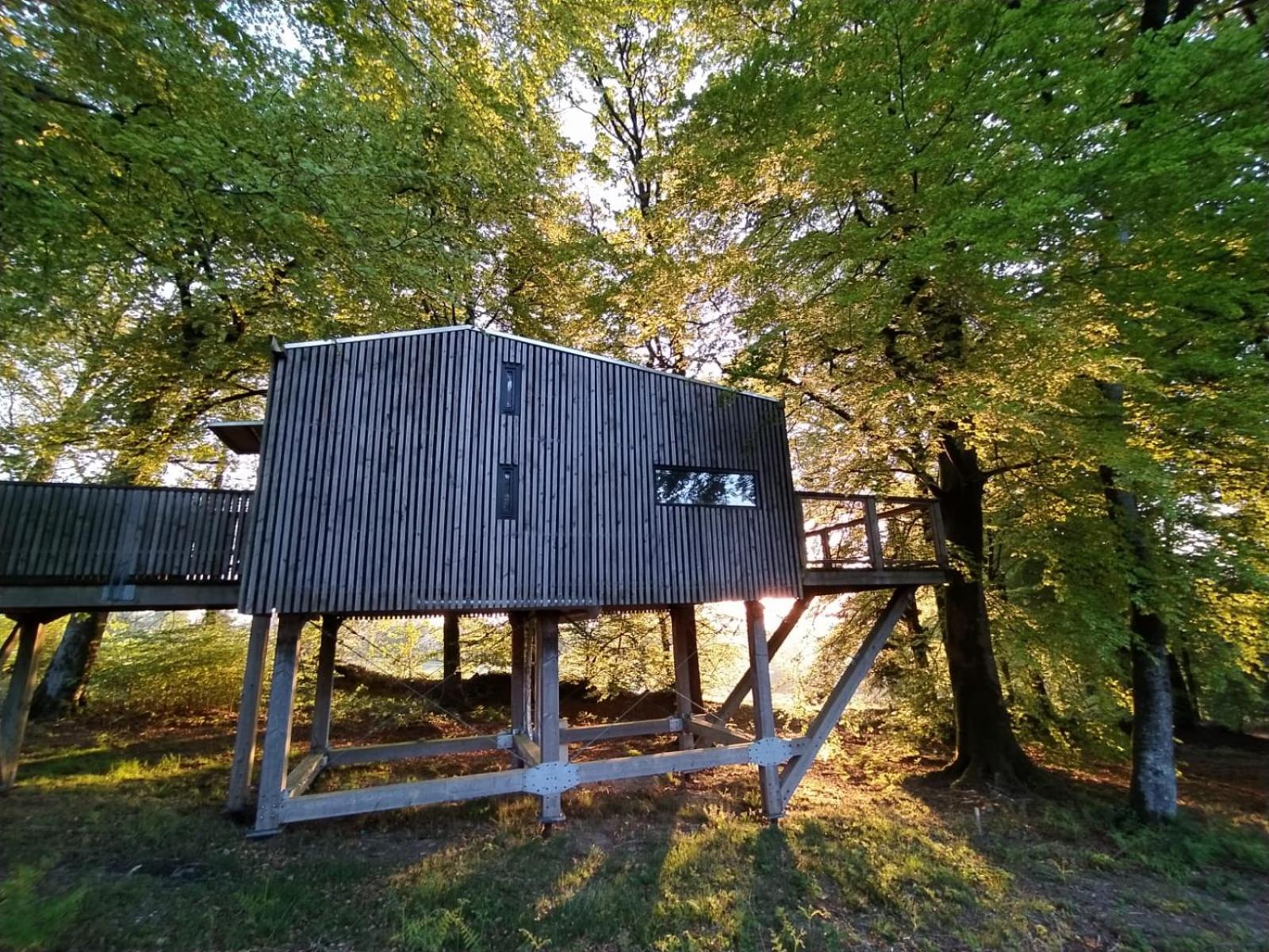 L'Etape En Foret Saint-Sever-Calvados المظهر الخارجي الصورة
