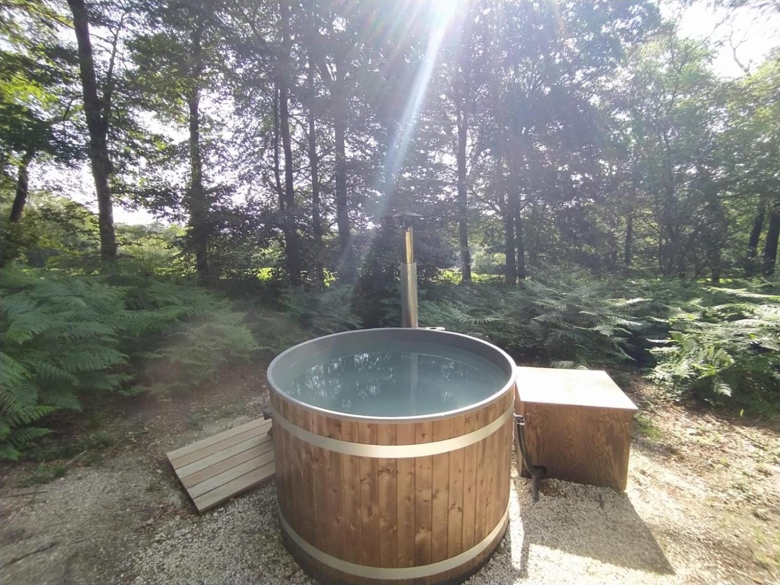 L'Etape En Foret Saint-Sever-Calvados المظهر الخارجي الصورة