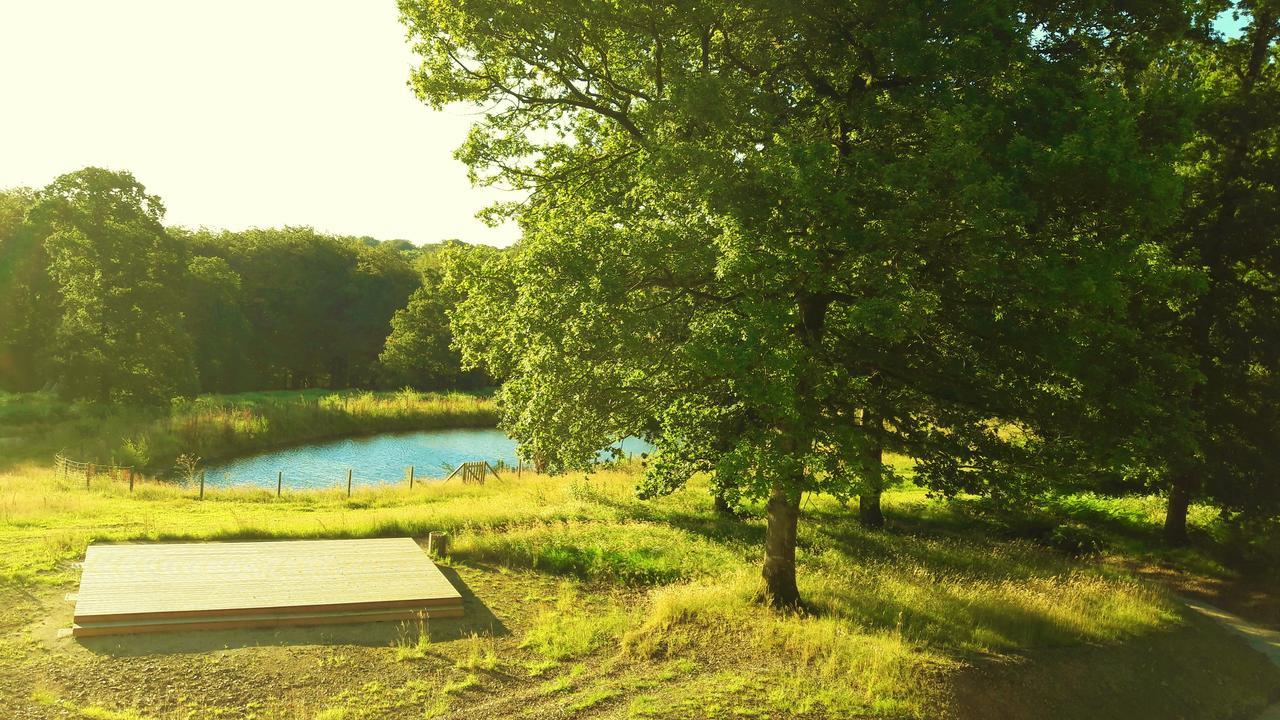 L'Etape En Foret Saint-Sever-Calvados المظهر الخارجي الصورة