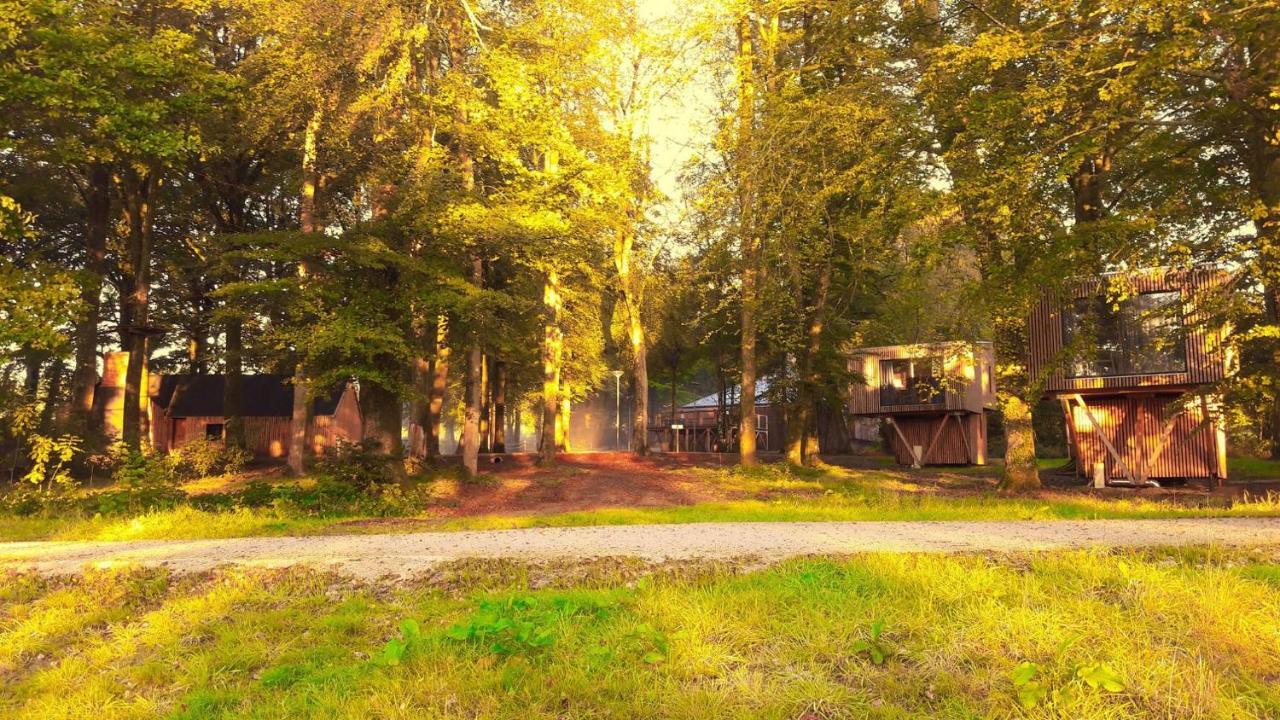 L'Etape En Foret Saint-Sever-Calvados المظهر الخارجي الصورة