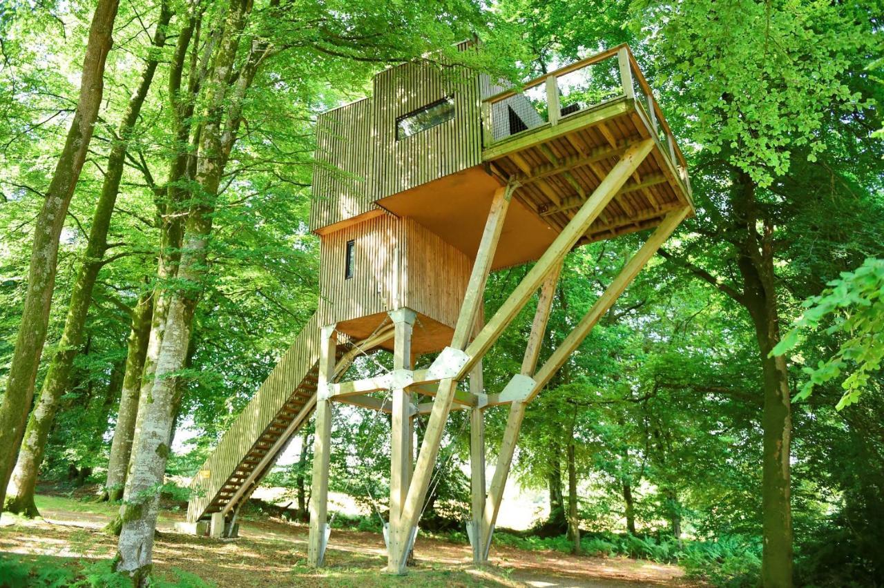 L'Etape En Foret Saint-Sever-Calvados المظهر الخارجي الصورة